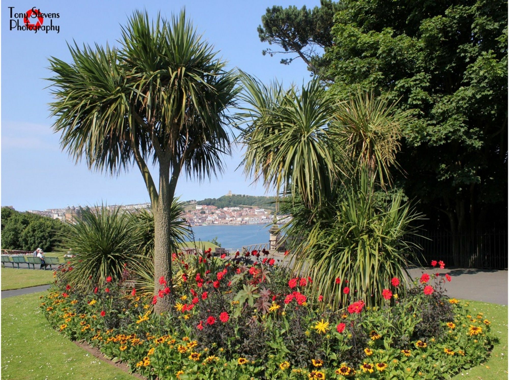 Esplanade Gardens B&B Σκάρμπορο Εξωτερικό φωτογραφία